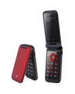 Foto Celular ZTE R620 Desbloqueado