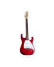 Foto Guitarra Elétrica Stratocaster Dolphin DGS-05