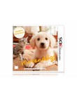 Foto Jogo Nintendogs + Cats Golden Retriever Nintendo Nintendo 3DS