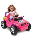 Foto Mini Jipe Bandeirante Eco Jipe Gatinha