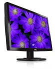 Foto Monitor LCD 21,5 " Dell Widescreen D2201