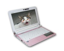 Netbook Acer Aspire One 10,1" D250-1300 1 GB 160 GB Intel Atom N270 Linux