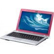 Netbook Sony Vaio 11,6" VPC-YB15AB 2 GB 500 GB AMD Athlon Dual Core E-350 Windows 7 Starter Edition