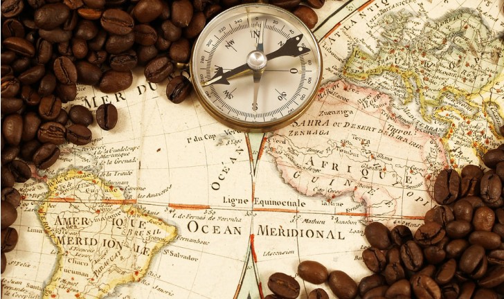 Grão de café Grão de café