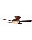 Foto Ventilador de Teto Hunter Ergonomic 5 Pás