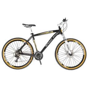 Bicicleta Mountain Bike Colli Bikes Renault 21 Marchas Aro 26 Suspensão Dianteira Freio a Disco Sport Max 573