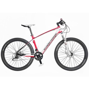 Bicicleta Ferrari 27 Marchas Aro 26 Suspensão Dianteira Freio a Disco FB2610