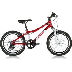 Bicicleta Caloi 7 Marchas Aro 20 Suspensão Dianteira Freio V-Brake Wild XS