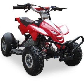 Mini Quadriciclo Dino Motor Mono Cilindro 2 Tempos 49CC Barzi Motors