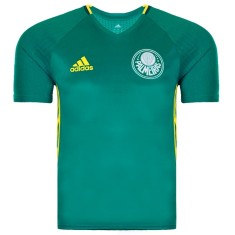 Camisa Treino Palmeiras 2016 Adidas