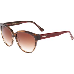 Óculos de Sol Feminino Retrô Colcci 5006